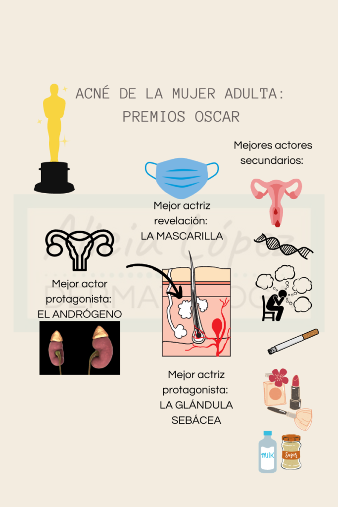 Acné de la mujer adulta: premios